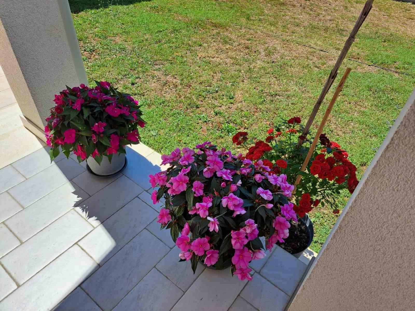 Apartmani Danica Vodnjan Exterior photo