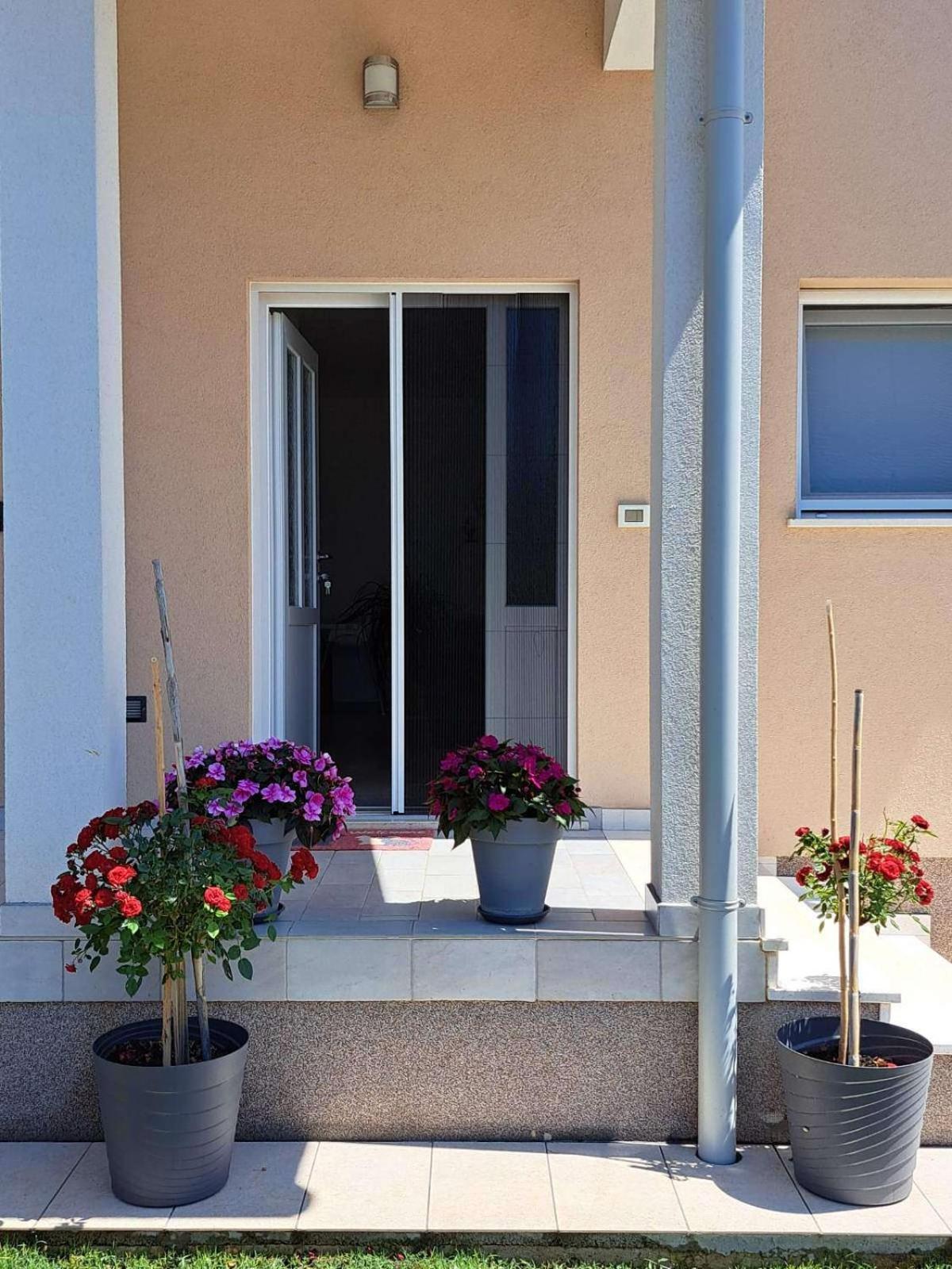 Apartmani Danica Vodnjan Exterior photo